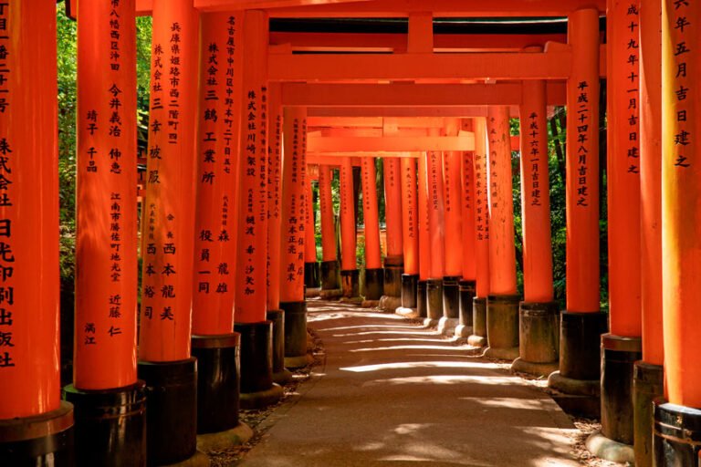 torii-gates-in-fushimi-inari-in-kyoto (1)